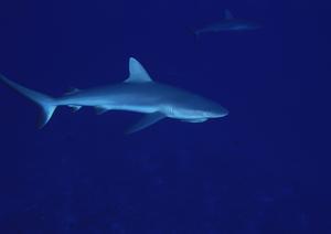 東横イン京浜東北線王子駅北口の魅力と詳細ガイド：便利なアクセスと快適な宿泊体験