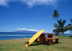 神奈川県川崎市に位置する東横INN武蔵中原駅前の魅力と便利なホテル情報