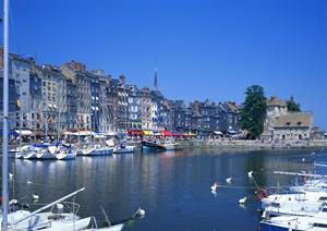 絶景と癒しを兼ね備えた赤沢日帰り温泉館【静岡県伊豆高原】の魅力と特徴