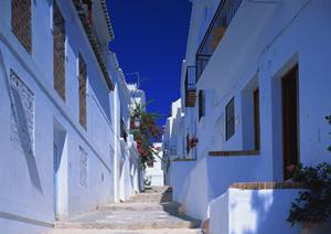 神奈川県茅ヶ崎市にある東横INN湘南茅ヶ崎駅北口の魅力と利用ガイド