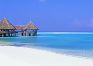 旭川駅近くに位置する東横イン｜快適なビジネス＆観光利用に最適なホテル紹介