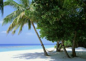 横浜スタジアム前に位置する便利で快適なビジネスホテル｜東横INN横浜スタジアム前1の魅力と詳細情報